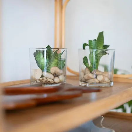 Апартаменты Casa Da Maresia - The Seaside Escape